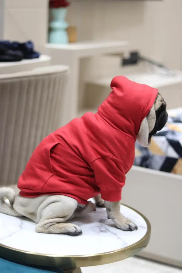 Red_Cotton_Pullover_Hoodie_For_Dogs