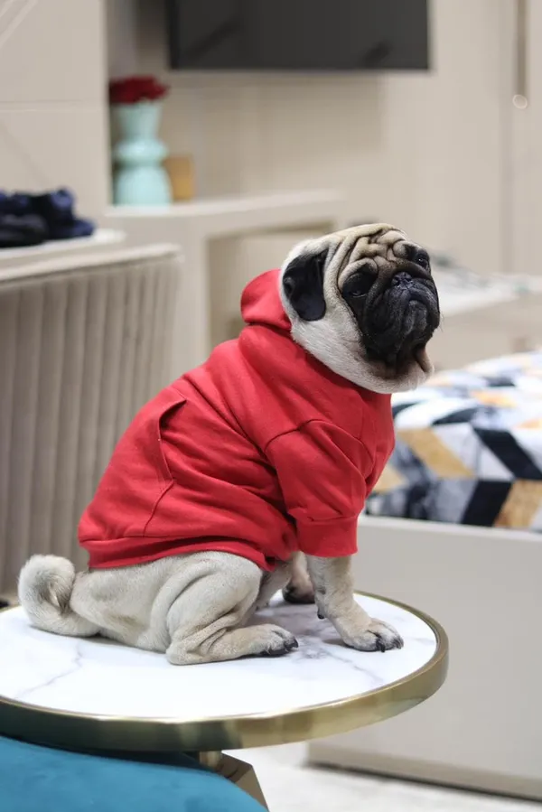 Red_Cotton_Pullover_Hoodie_For_Dogs
