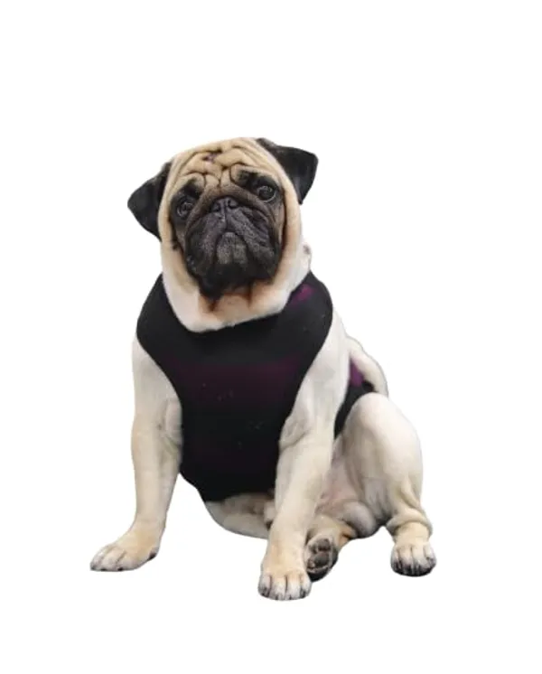 Wine_Cotton_Sleeveless_Tank_Top_For_Dogs