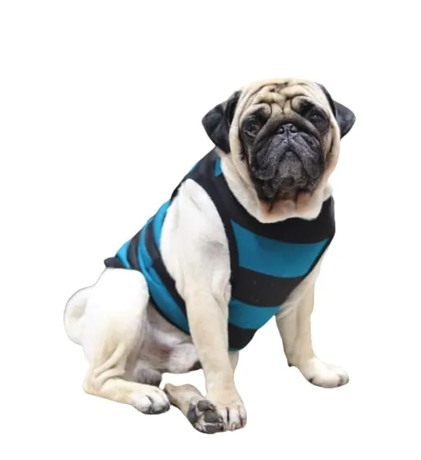 Green_Cotton_Sleeveless_Tank_Top_For_Dogs