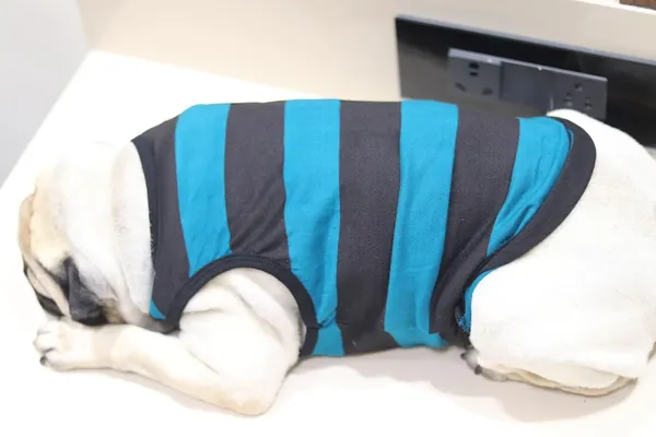 Green_Cotton_Sleeveless_Tank_Top_For_Dogs