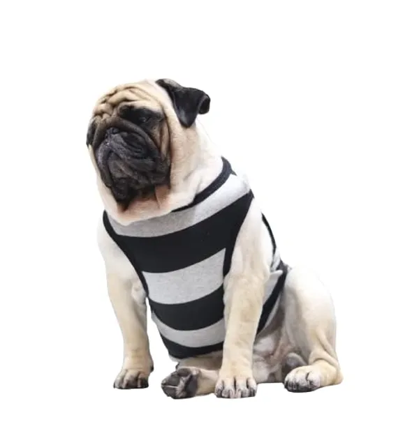 Grey_Cotton_Sleeveless_Tank_Top_For_Dogs