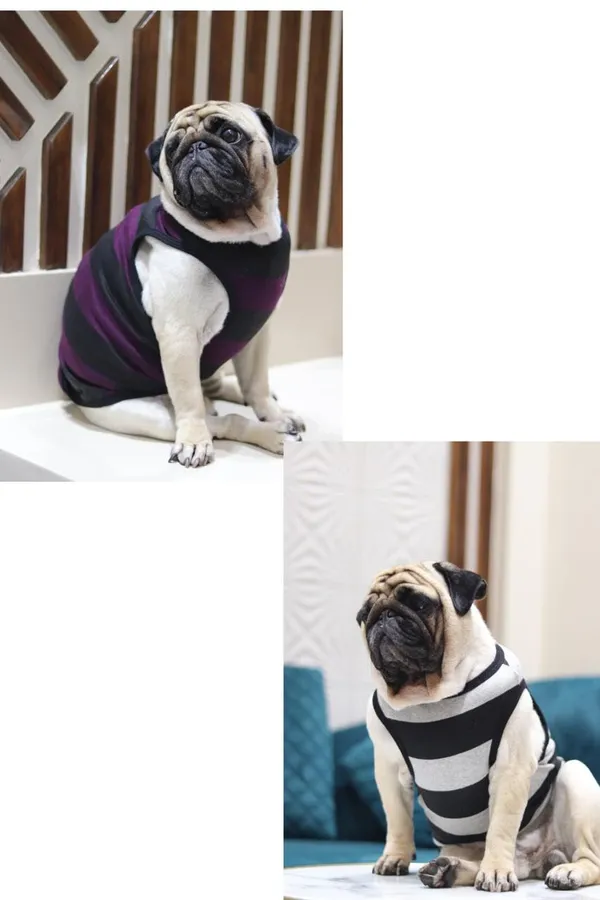 Wine_Black_Cotton_Sleeveless_Striped_Vest_For_Dogs