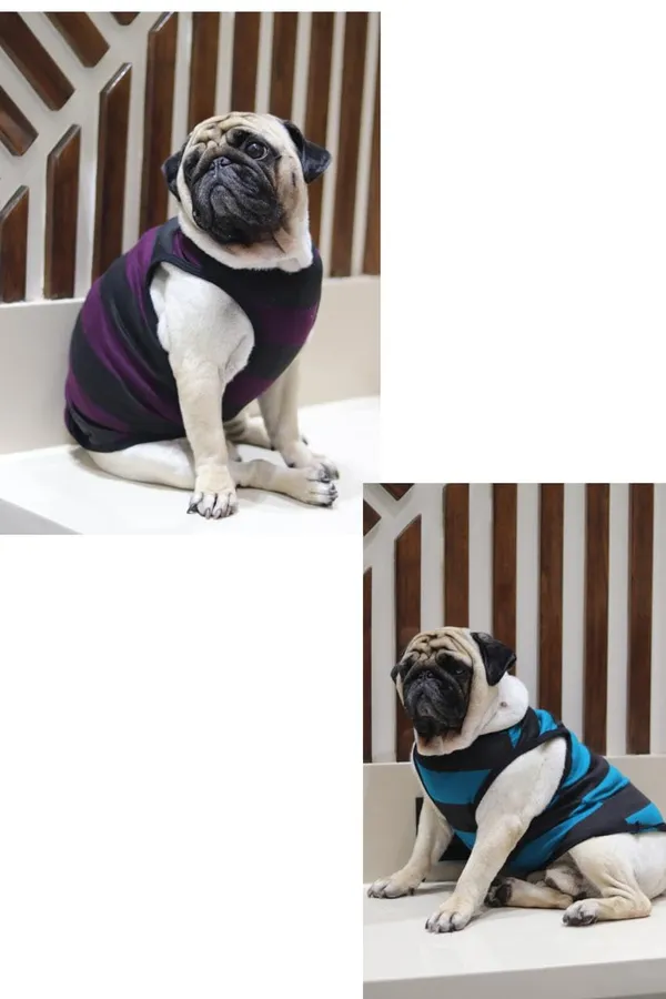 Wine__And_Green_Cotton_Sleeveless_Striped_Vest_For_Dogs