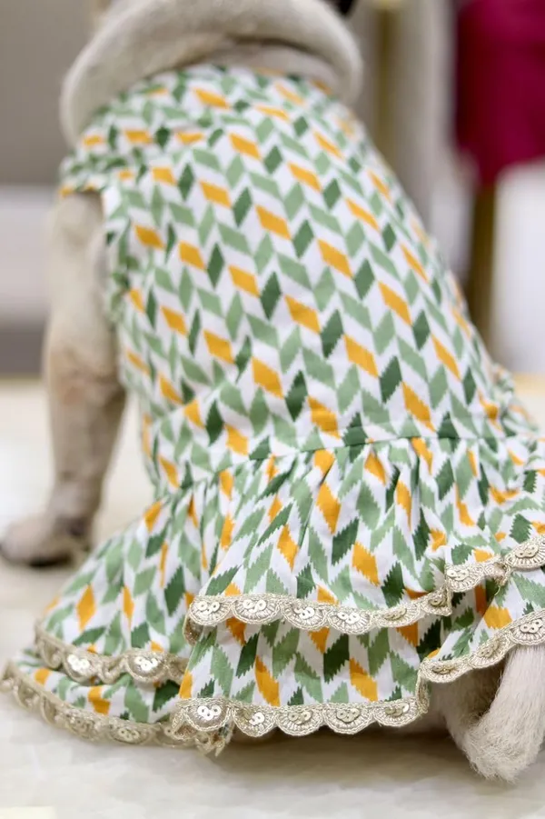 Green_Cotton_Lace_Detail_Dress_For_Dogs
