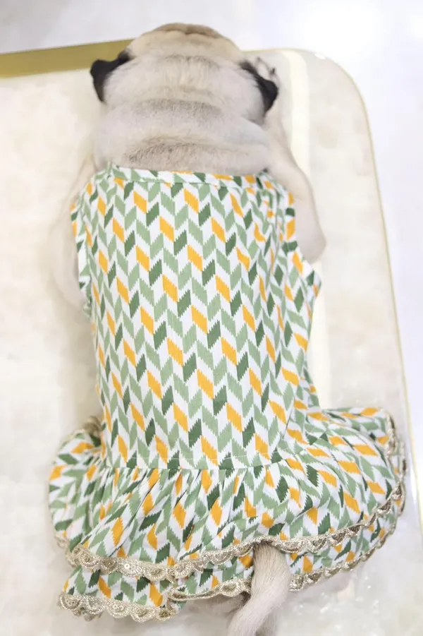 Green_Cotton_Lace_Detail_Dress_For_Dogs