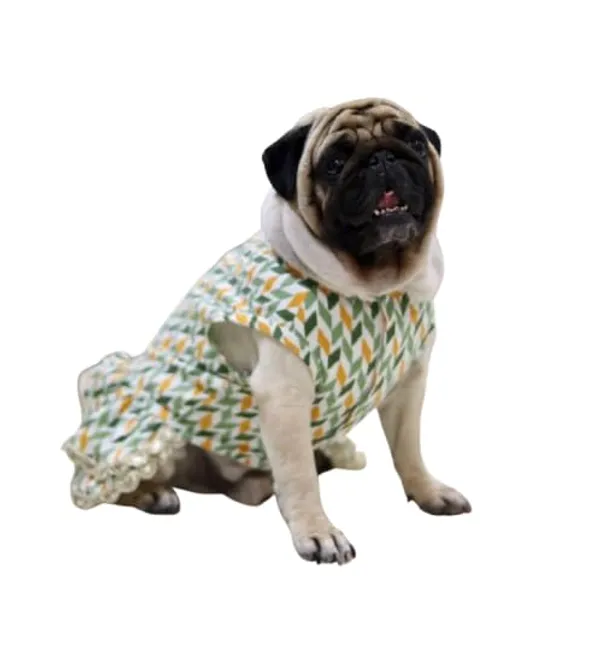 Green_Cotton_Lace_Detail_Dress_For_Dogs