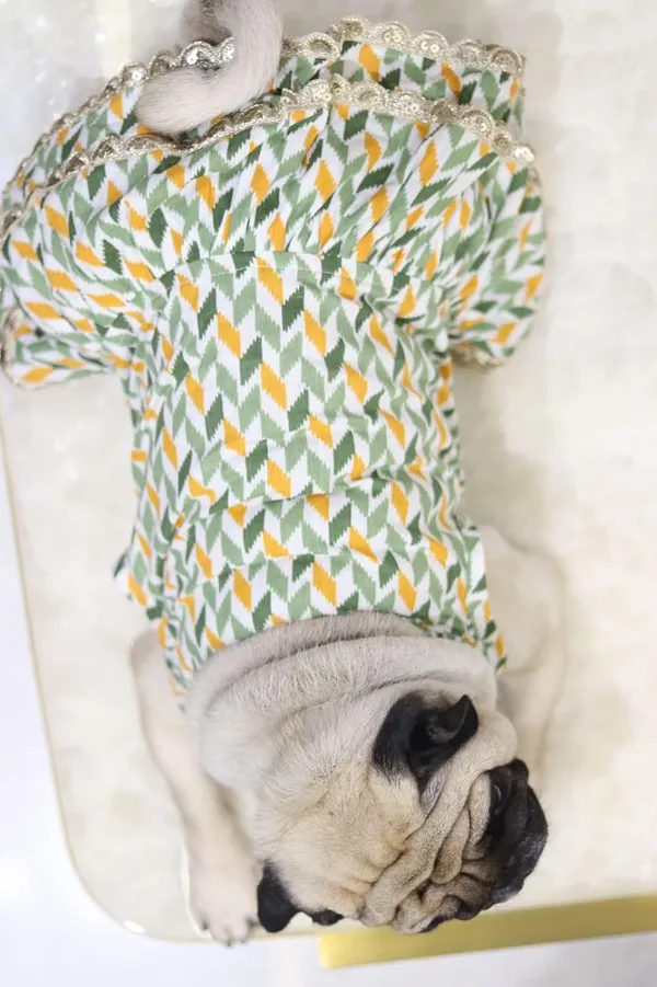 Green_Cotton_Lace_Detail_Dress_For_Dogs