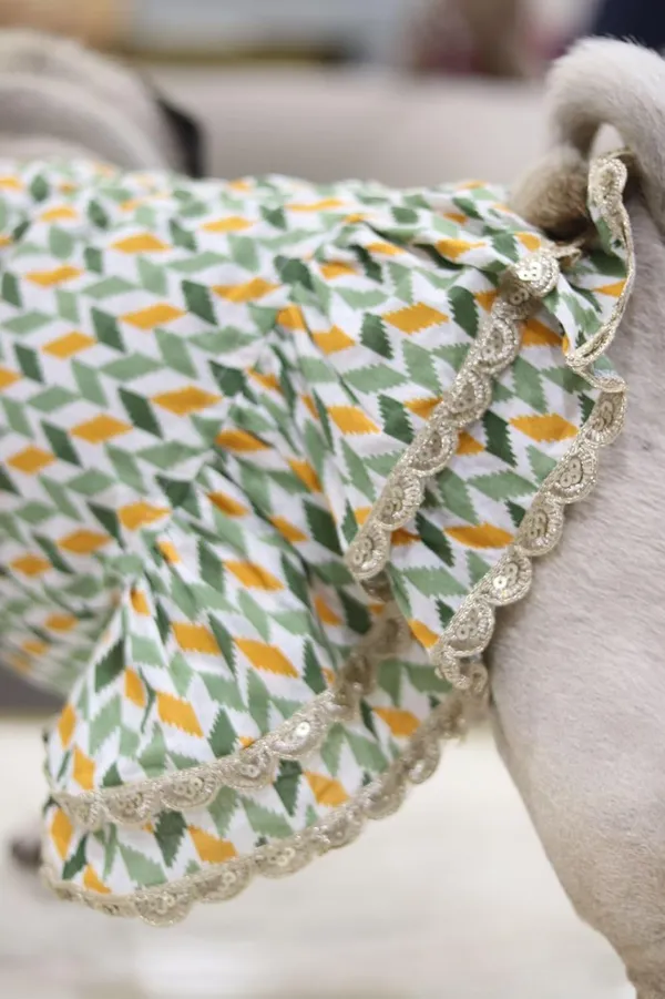 Green_Cotton_Lace_Detail_Dress_For_Dogs