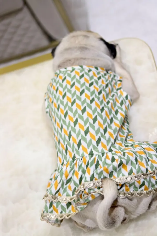 Green_Cotton_Lace_Detail_Dress_For_Dogs