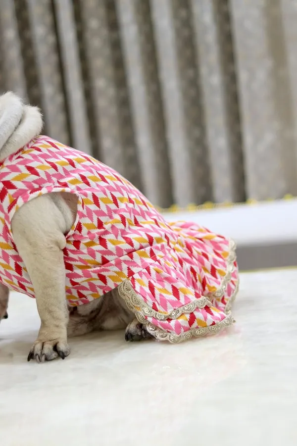 Pink_Cotton_Printed_Bow_Lace_Detail_Dress_For_Dogs