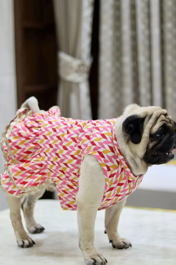 Pink_Cotton_Printed_Bow_Lace_Detail_Dress_For_Dogs