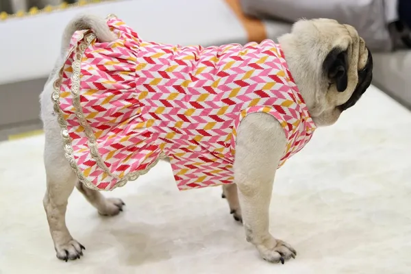 Pink_Cotton_Printed_Bow_Lace_Detail_Dress_For_Dogs