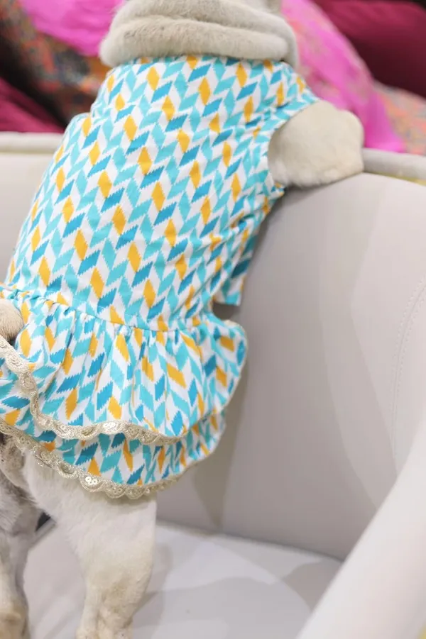 Light_Blue_Cotton_Bow_Lace_Dress_For_Dogs