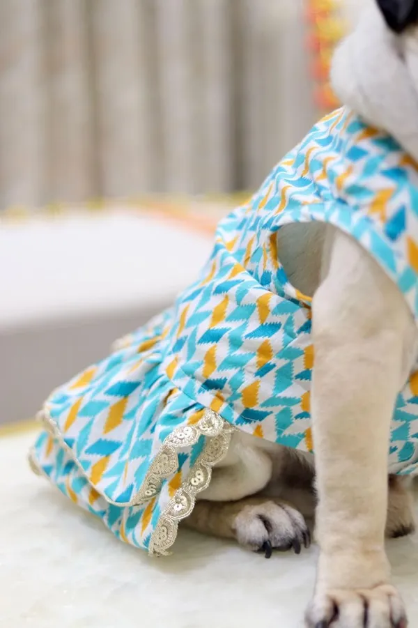Light_Blue_Cotton_Bow_Lace_Dress_For_Dogs