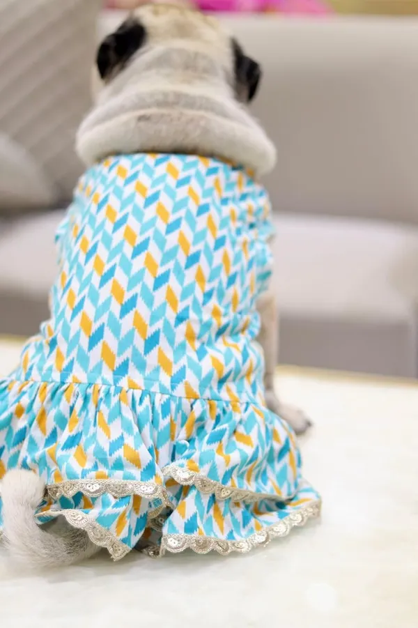 Light_Blue_Cotton_Bow_Lace_Dress_For_Dogs