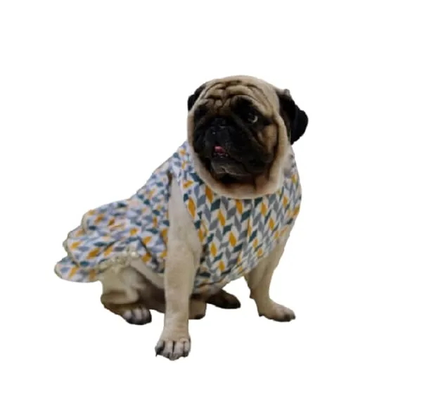 Grey_Cotton_Printed_Dress_With_Bow_And_Lace_For_Dogs