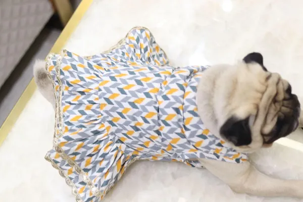 Grey_Cotton_Printed_Dress_With_Bow_And_Lace_For_Dogs