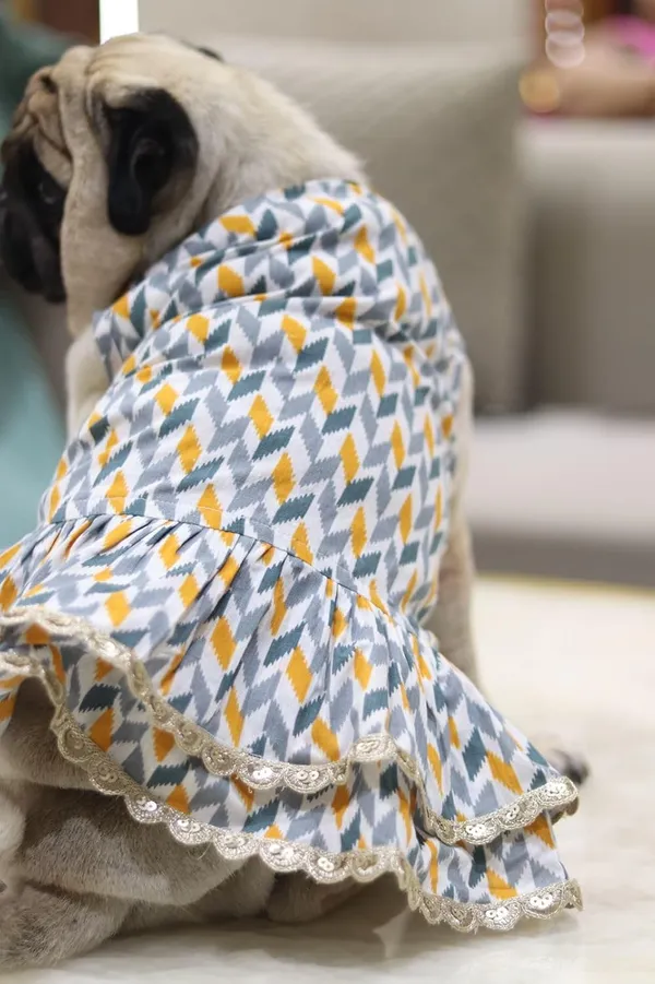 Grey_Cotton_Printed_Dress_With_Bow_And_Lace_For_Dogs