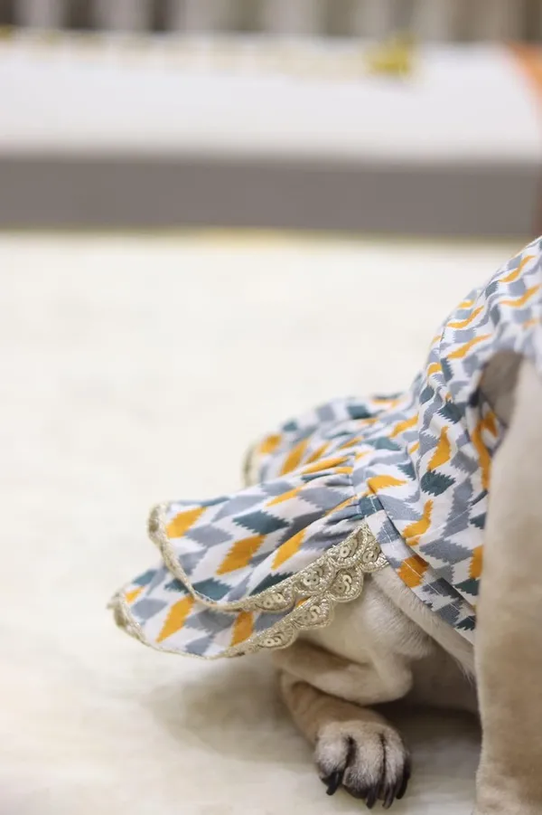 Grey_Cotton_Printed_Dress_With_Bow_And_Lace_For_Dogs