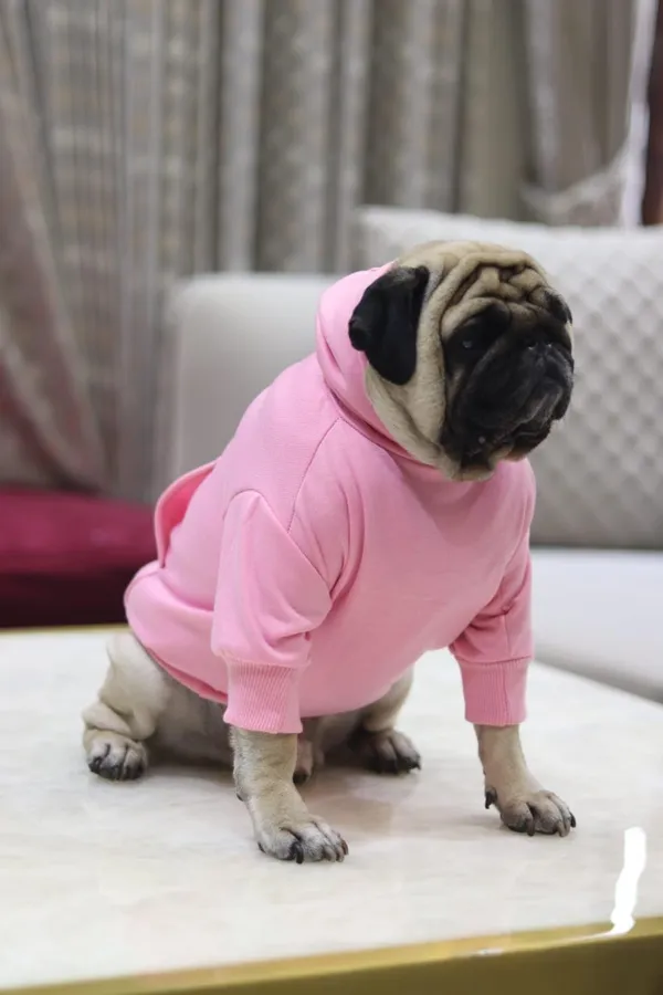 Pink_Cotton_Pullover_Hoodie_For_Dogs