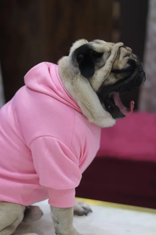 Pink_Cotton_Pullover_Hoodie_For_Dogs