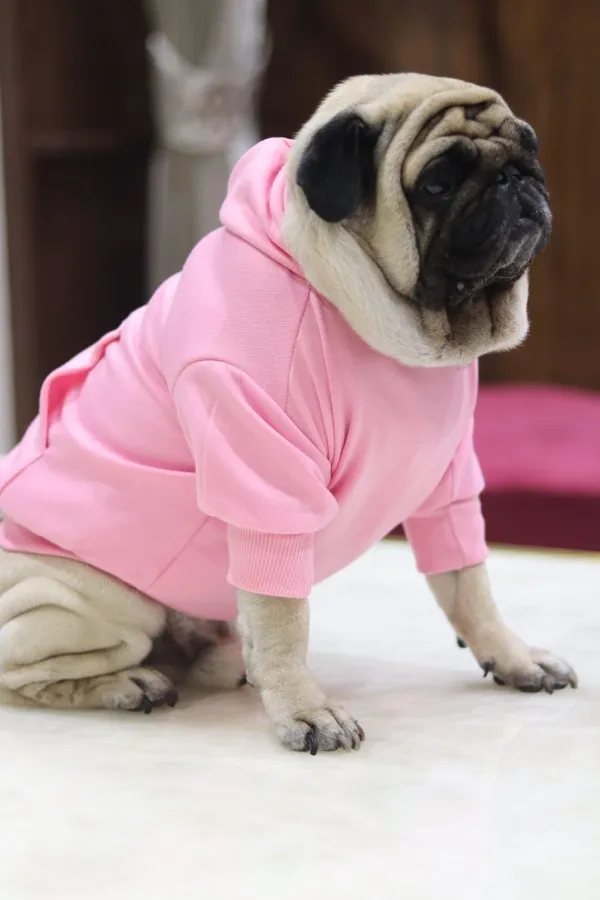 Pink_Cotton_Pullover_Hoodie_For_Dogs