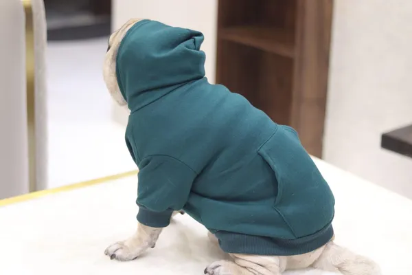 Green_Cotton_Pullover_Hoodie_For_Dogs