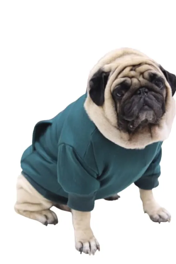 Green_Cotton_Pullover_Hoodie_For_Dogs