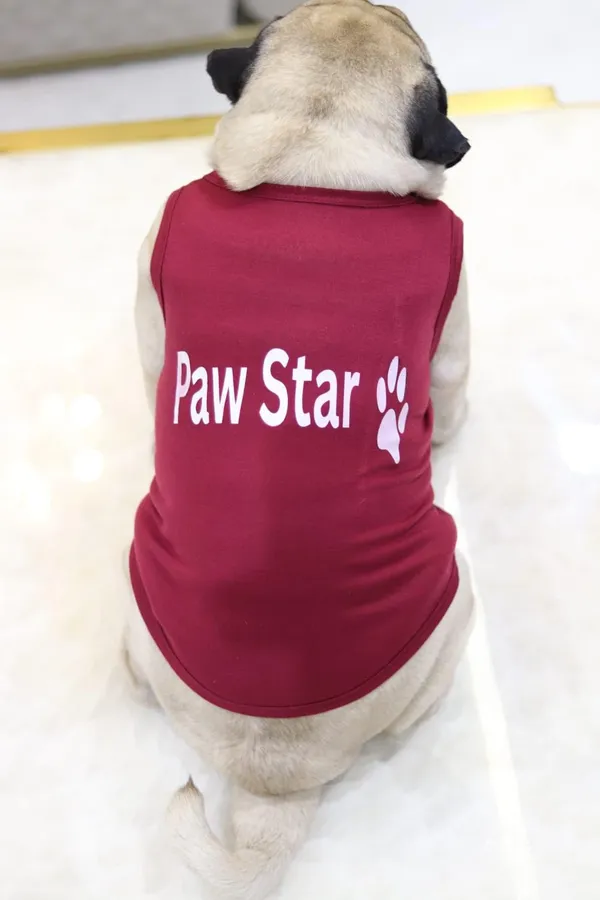 Maroon_Cotton_T_Shirt_For_Dogs