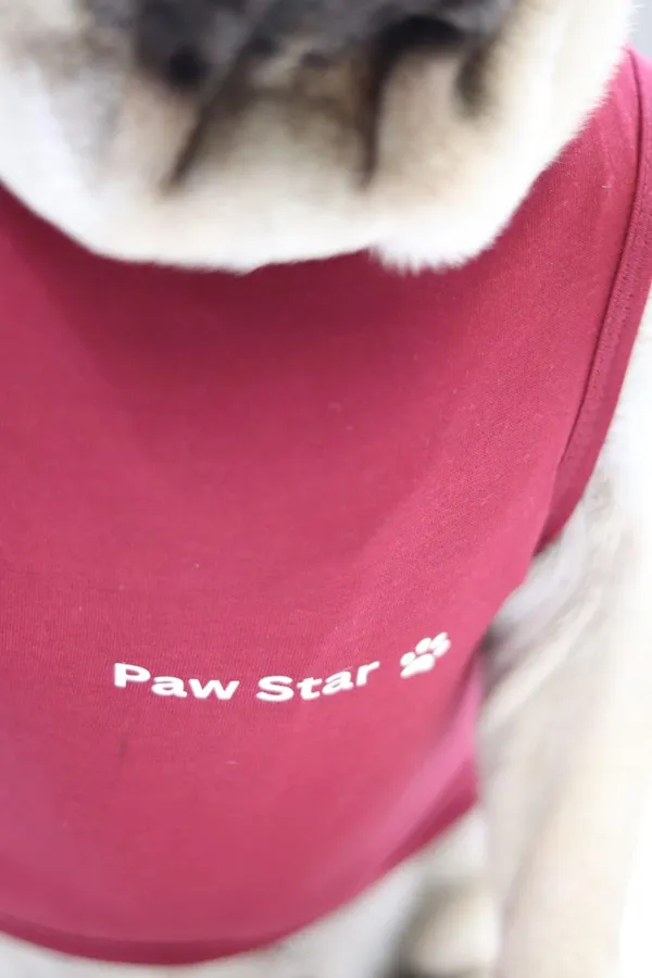 Maroon_Cotton_T_Shirt_For_Dogs