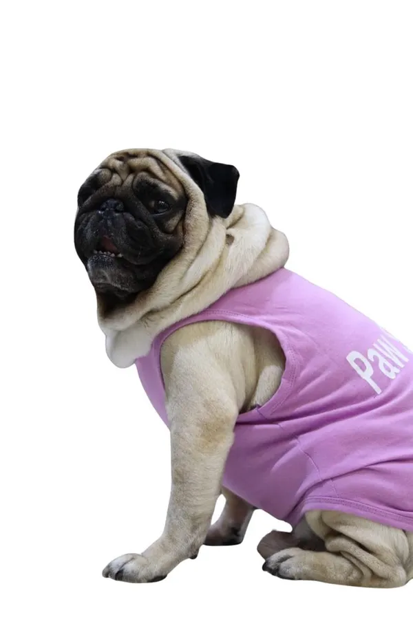 Lavender_Cotton_T_Shirt_For_Dogs