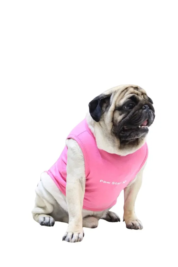 Pink_Cotton_T_Shirt_For_Dogs