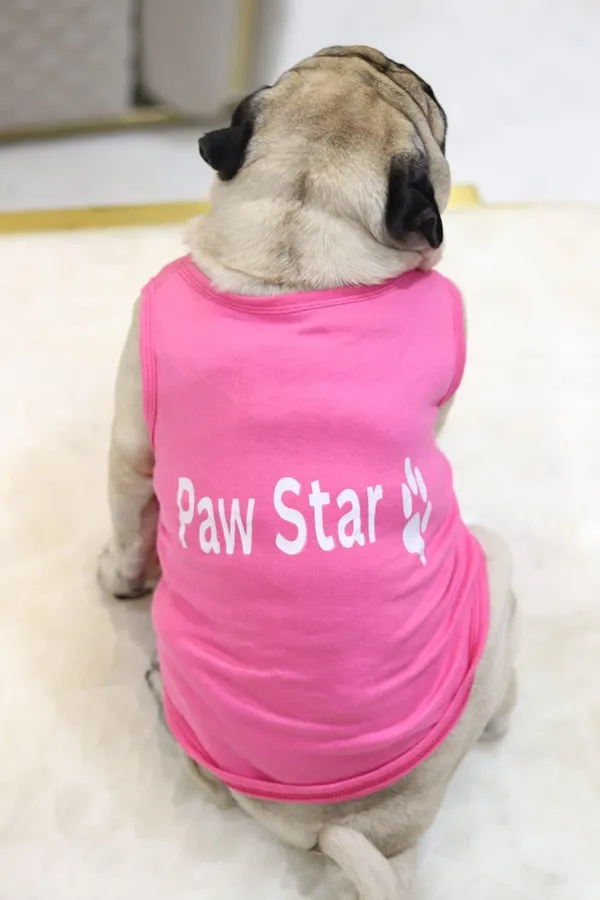 Pink_Cotton_T_Shirt_For_Dogs
