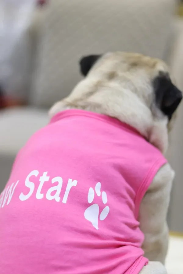 Pink_Cotton_T_Shirt_For_Dogs