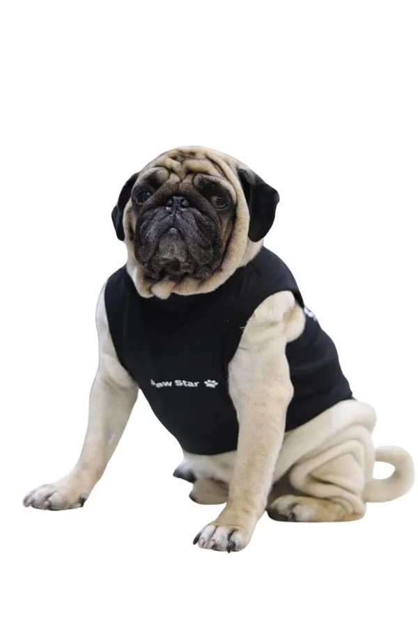 Black_Cotton_T_Shirt_For_Dogs