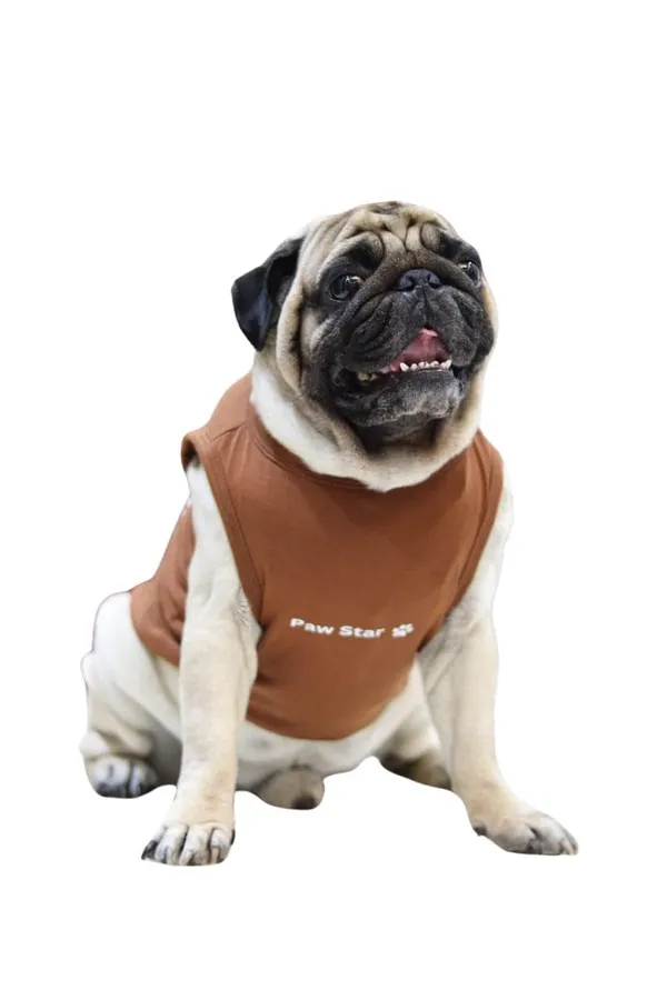 Brown_Cotton_T_Shirt_For_Dogs