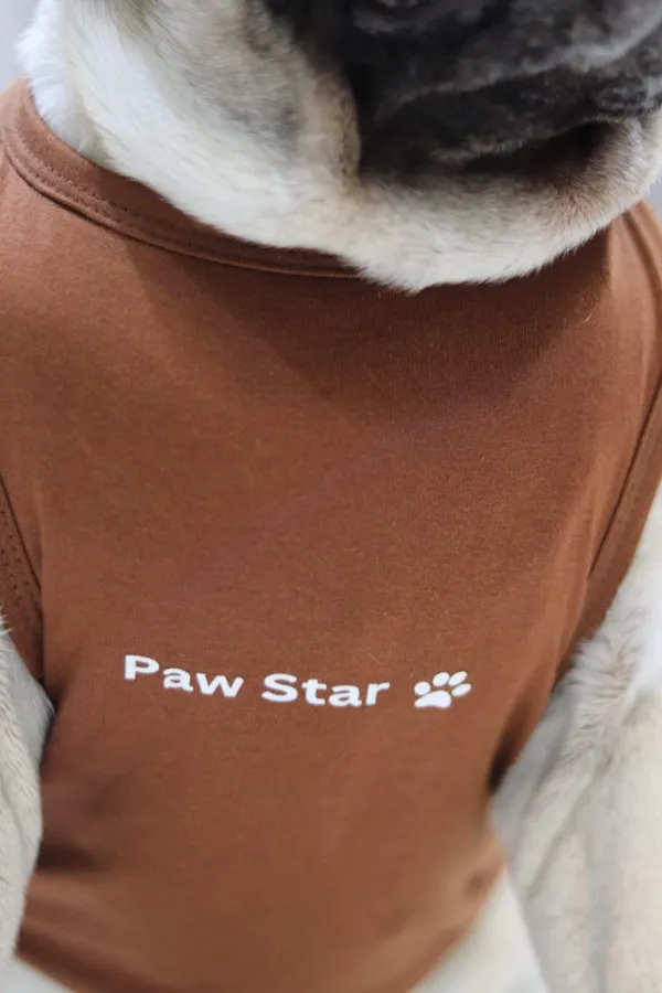 Brown_Cotton_T_Shirt_For_Dogs