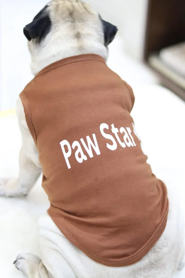 Brown_Cotton_T_Shirt_For_Dogs