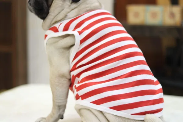 Red_Cotton_Striped_Sleeveless_T_Shirt_For_Dogs