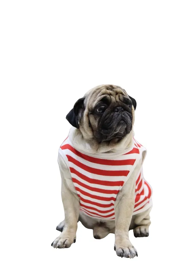 Red_Cotton_Striped_Sleeveless_T_Shirt_For_Dogs