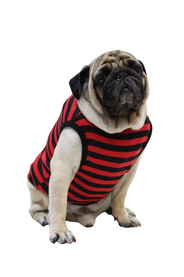 Dark_Red_Cotton_Striped_Sleeveless_T_Shirt_For_Dogs