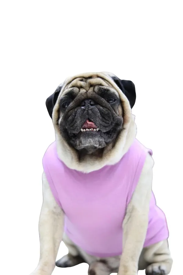 Lavender_Cotton_Oversized_Printed_T_Shirt_For_Dogs