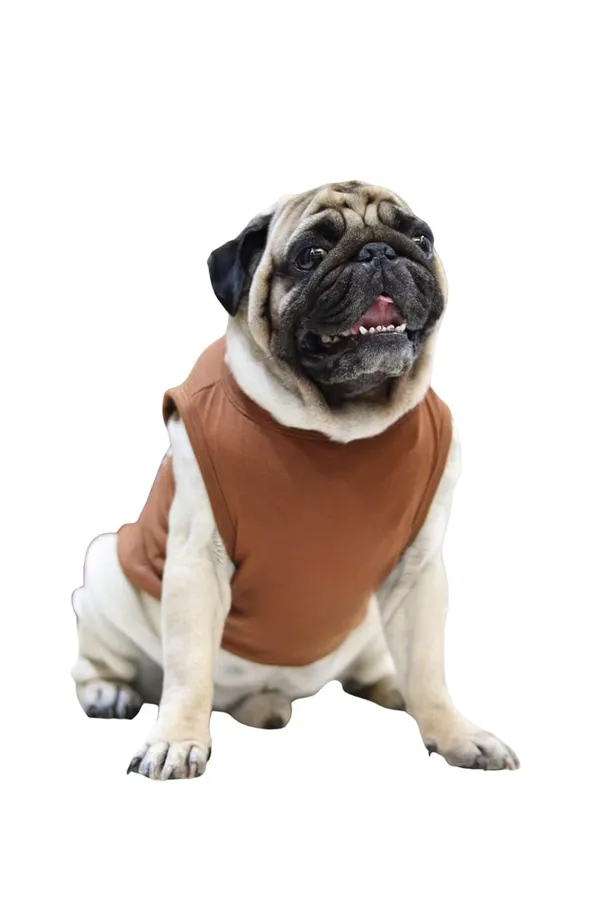 Brown_Cotton_Printed_T_Shirt_For_Dogs