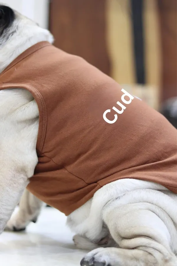 Brown_Cotton_Printed_T_Shirt_For_Dogs