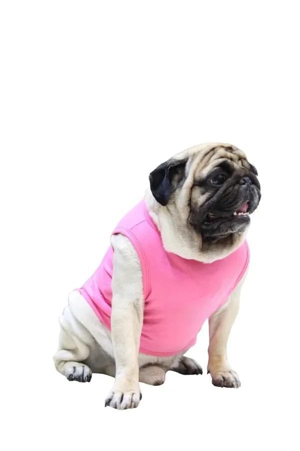 Pink_Cotton_Oversized_Printed_T_Shirt_For_Dogs