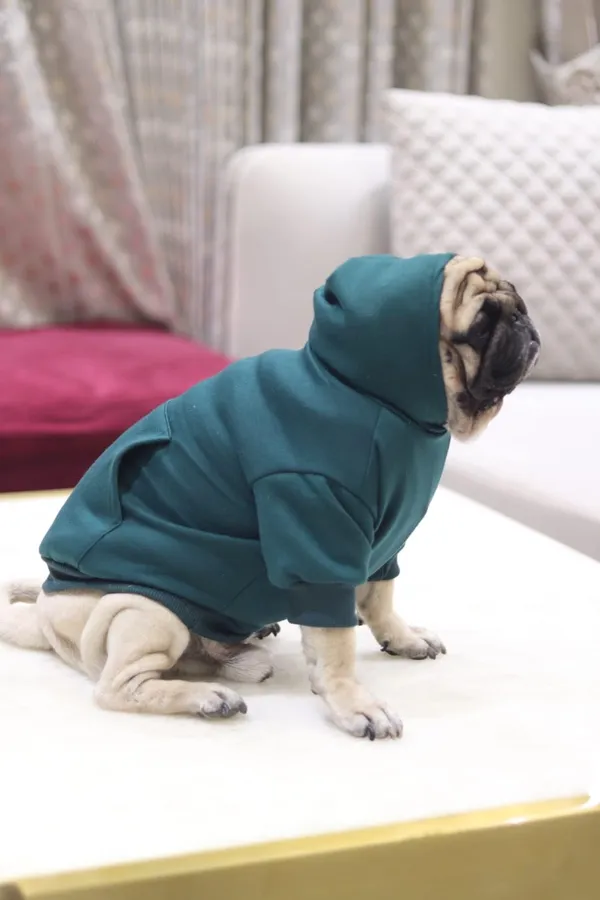 Green_Cotton_Hooded_Sweatshirt_For_Dogs