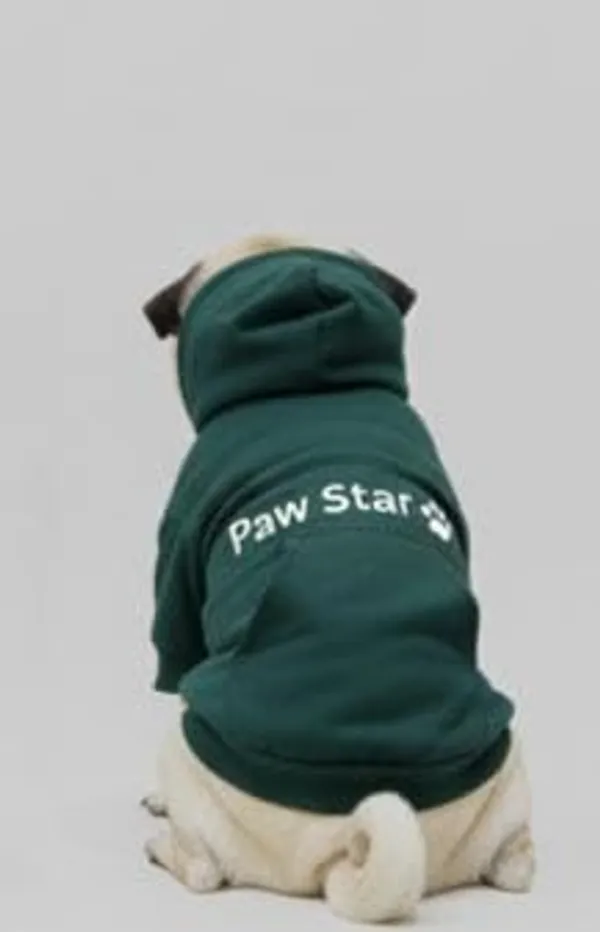 Green_Cotton_Hooded_Sweatshirt_For_Dogs