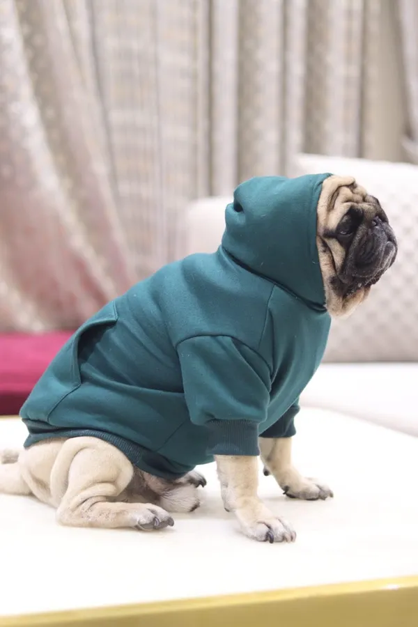 Green_Cotton_Hooded_Sweatshirt_For_Dogs