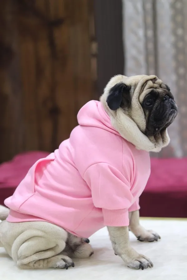Pink_Cotton_Hoodie_Sweatshirt_For_Dogs